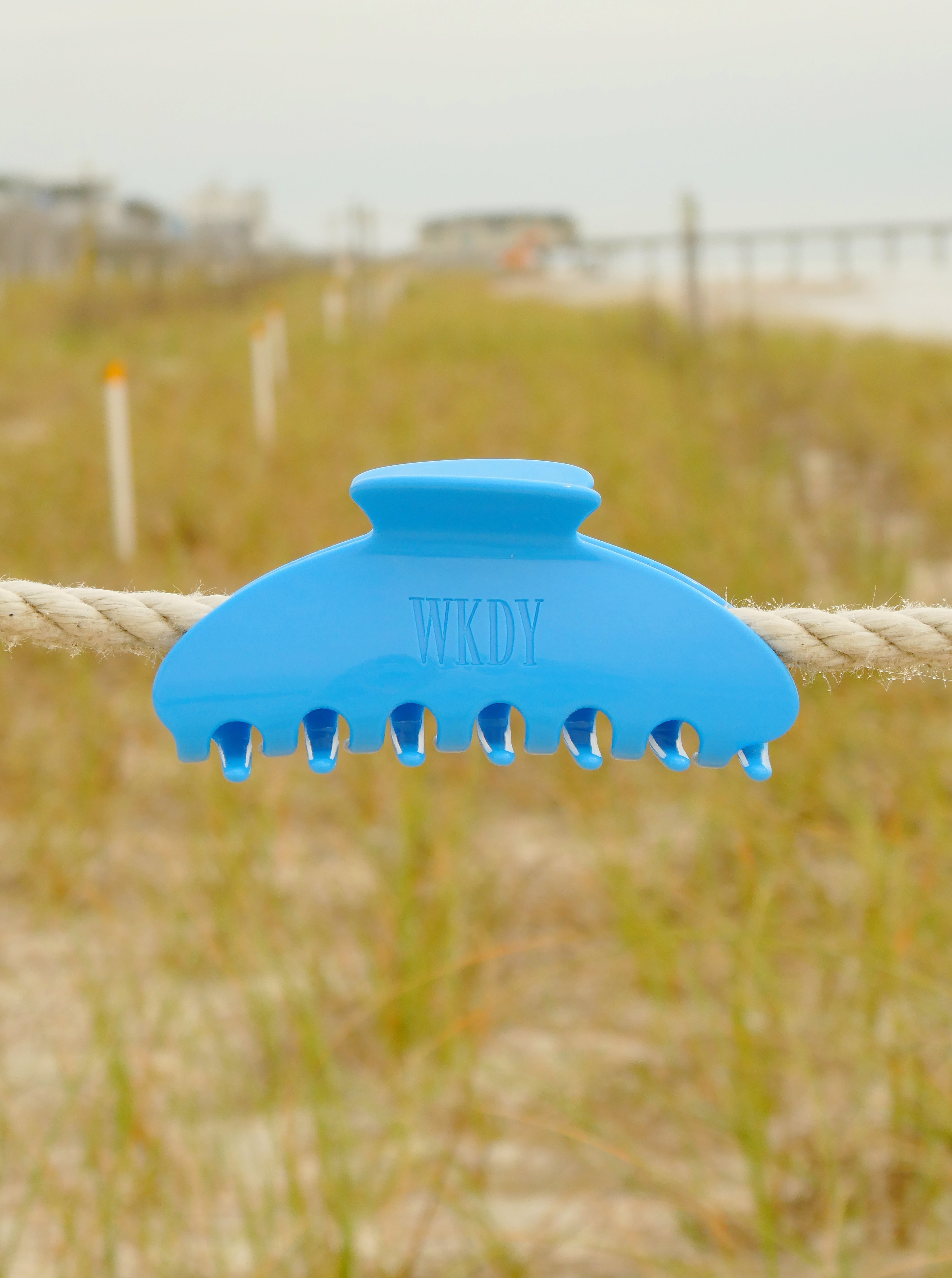 WKDY Hair Clip