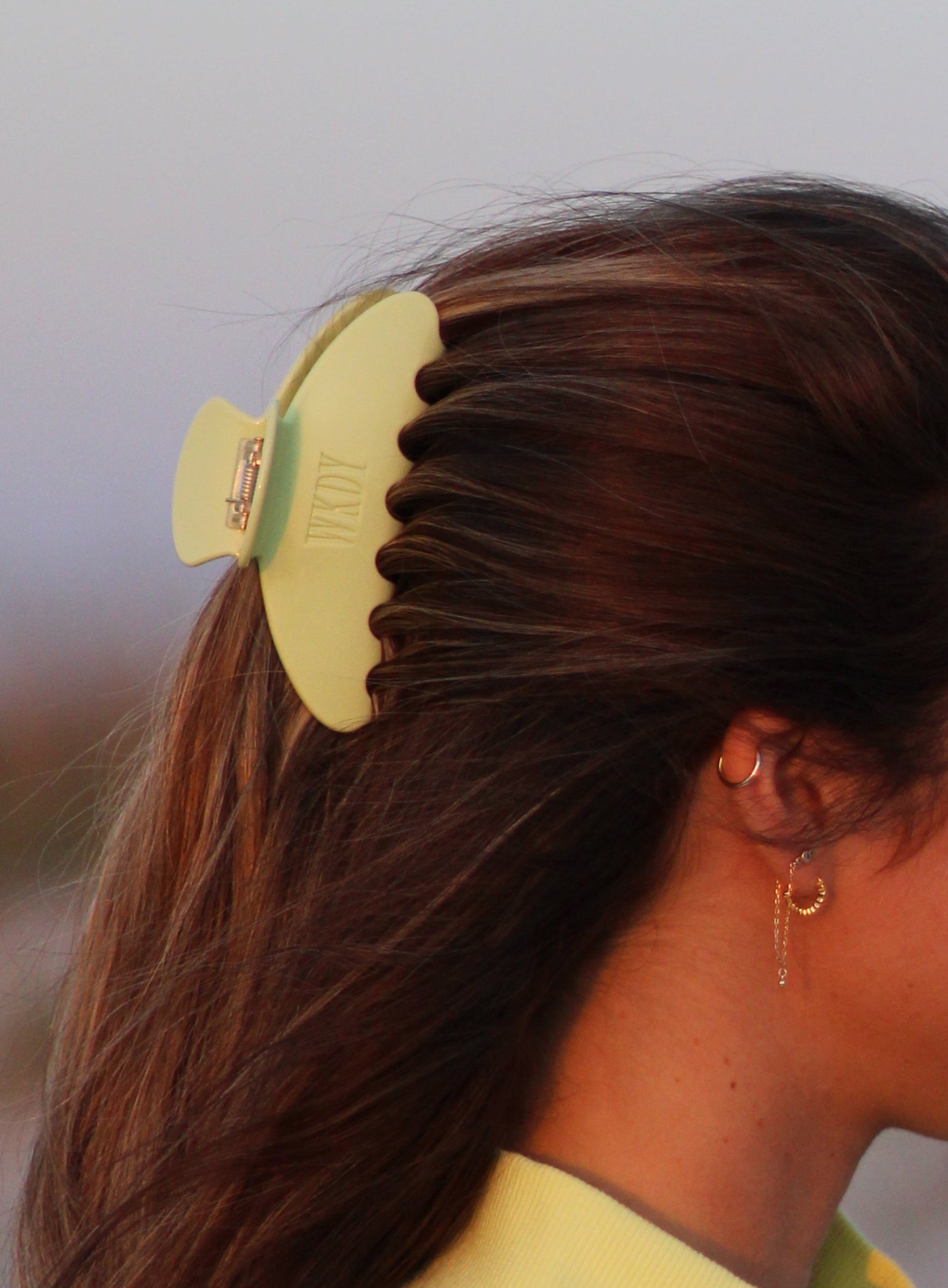WKDY Hair Clip